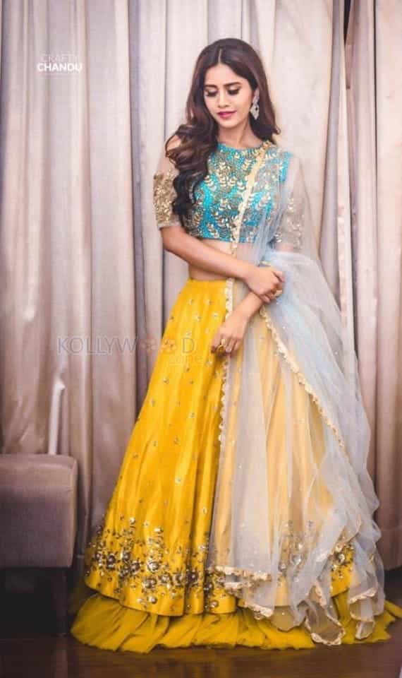 Actress Nabha Natesh Pictures