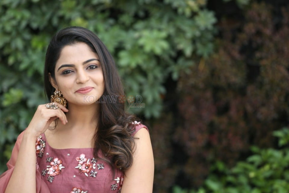 Actress Nikhila Vimal At Donga Movie Interview Photos