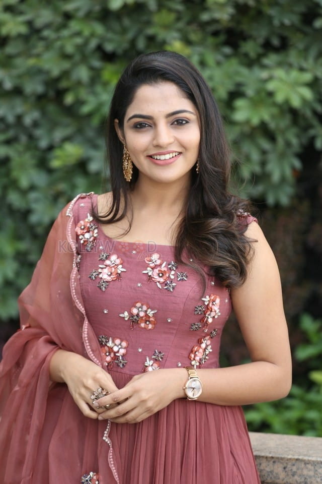 Actress Nikhila Vimal At Donga Movie Interview Photos