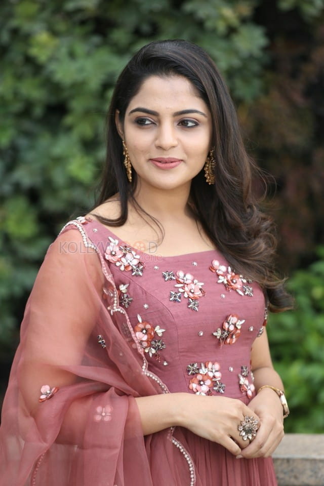 Actress Nikhila Vimal At Donga Movie Interview Photos