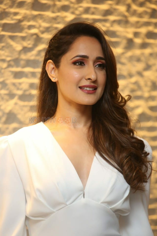 Actress Pragya Jaiswal At Telugu Cine Rathasarathula Rajotsvam Curtain Raiser Photos