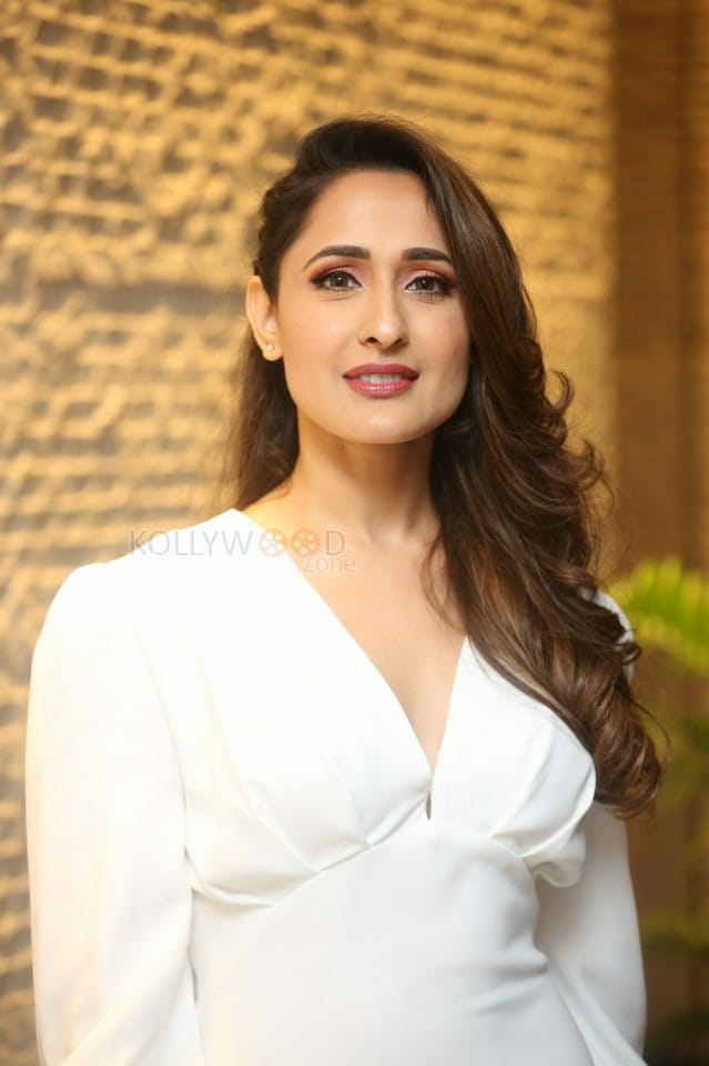 Actress Pragya Jaiswal At Telugu Cine Rathasarathula Rajotsvam Curtain Raiser Photos