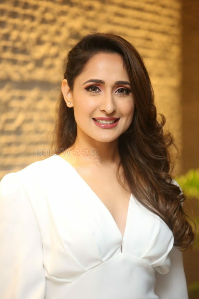 Actress Pragya Jaiswal At Telugu Cine Rathasarathula Rajotsvam Curtain Raiser Photos