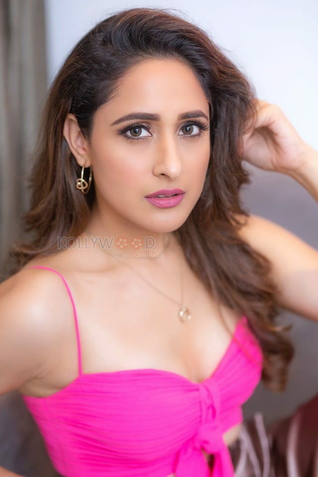 Actress Pragya Jaiswal Pink Dress Photoshoot Pictures