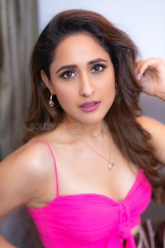 Actress Pragya Jaiswal Pink Dress Photoshoot Pictures