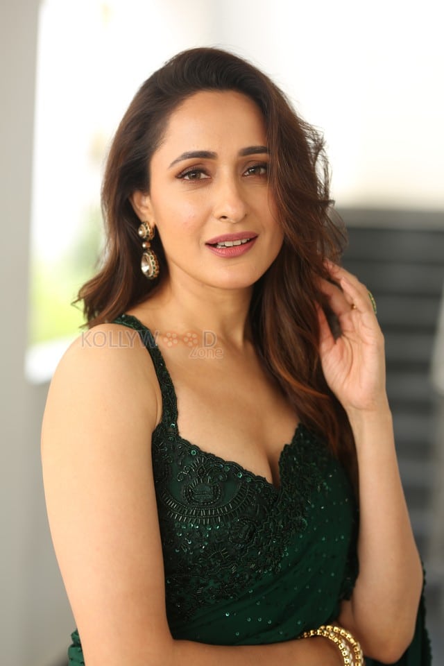 Actress Pragya Jaiswal at Daaku Maharaaj Interview Photos 10