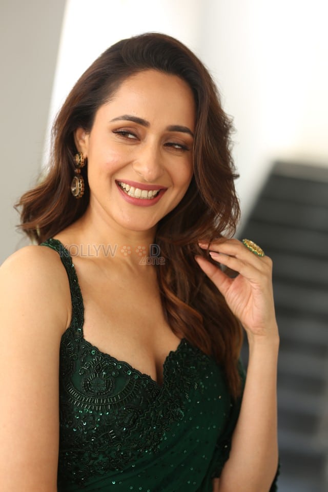 Actress Pragya Jaiswal at Daaku Maharaaj Interview Photos 13