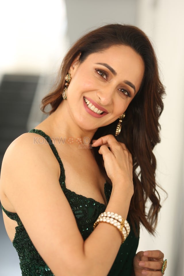 Actress Pragya Jaiswal at Daaku Maharaaj Interview Photos 18