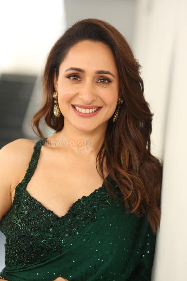 Actress Pragya Jaiswal at Daaku Maharaaj Interview Photos 20