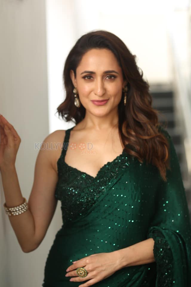 Actress Pragya Jaiswal at Daaku Maharaaj Interview Photos 24