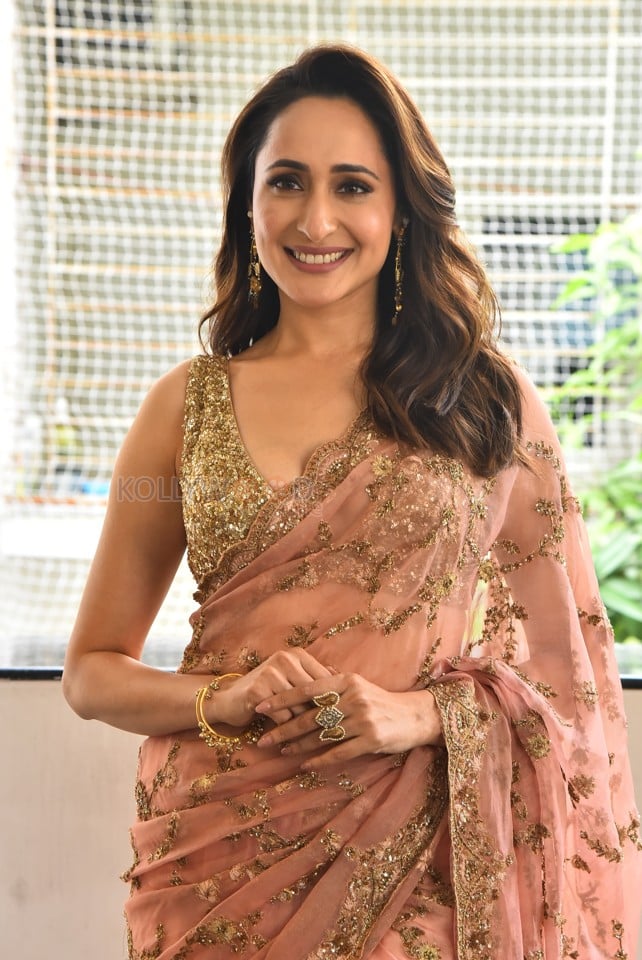 Actress Pragya Jaiswal at Daaku Maharaj Movie Success Celebration Photos 04