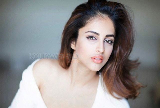 Actress Priya Banerjee Sexy Hot Photos