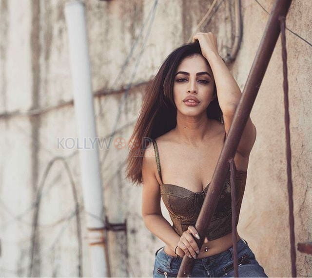 Actress Priya Banerjee Sexy Hot Photos