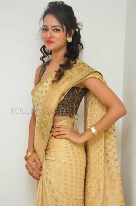 Actress Shanvi In Saree Photoshoot Pictures