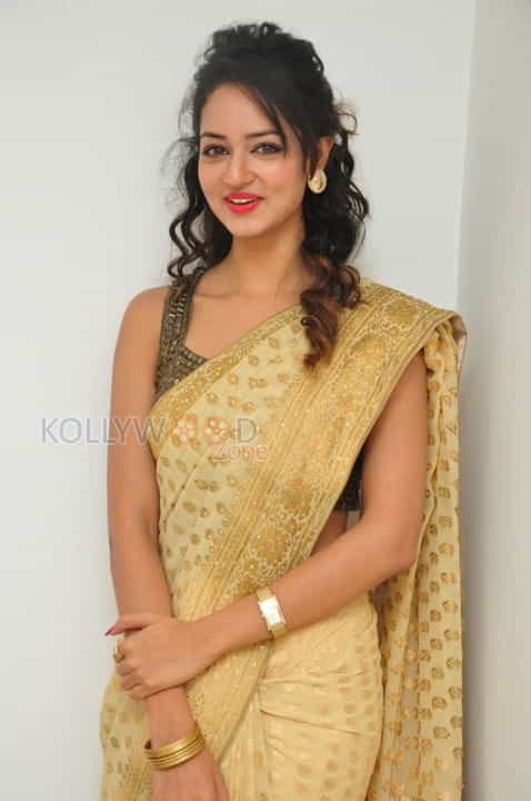 Actress Shanvi In Saree Photoshoot Pictures