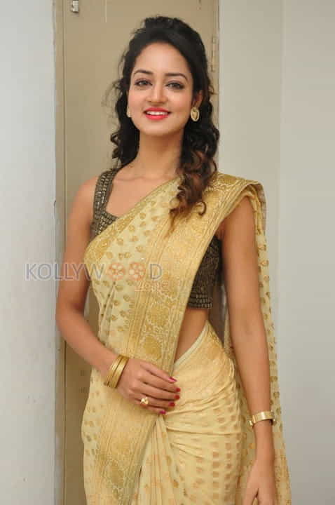 Actress Shanvi In Saree Photoshoot Pictures