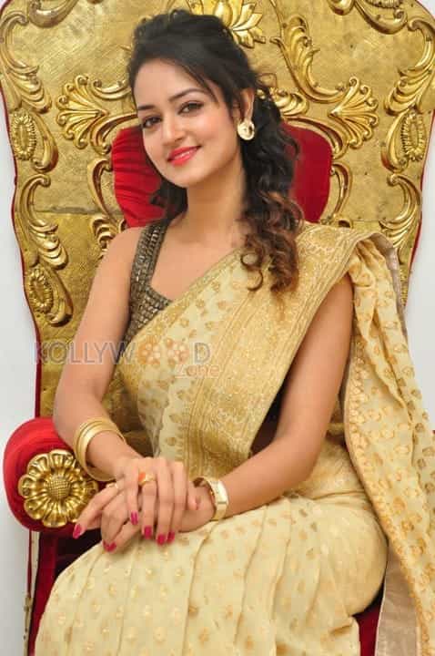 Actress Shanvi In Saree Photoshoot Pictures