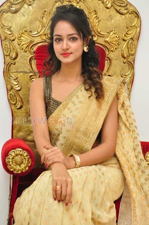 Actress Shanvi In Saree Photoshoot Pictures