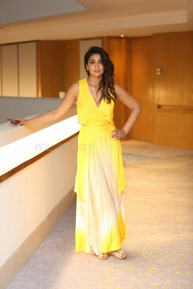 Actress Shriya Saran At Siima Awards Curtain Raiser Photos