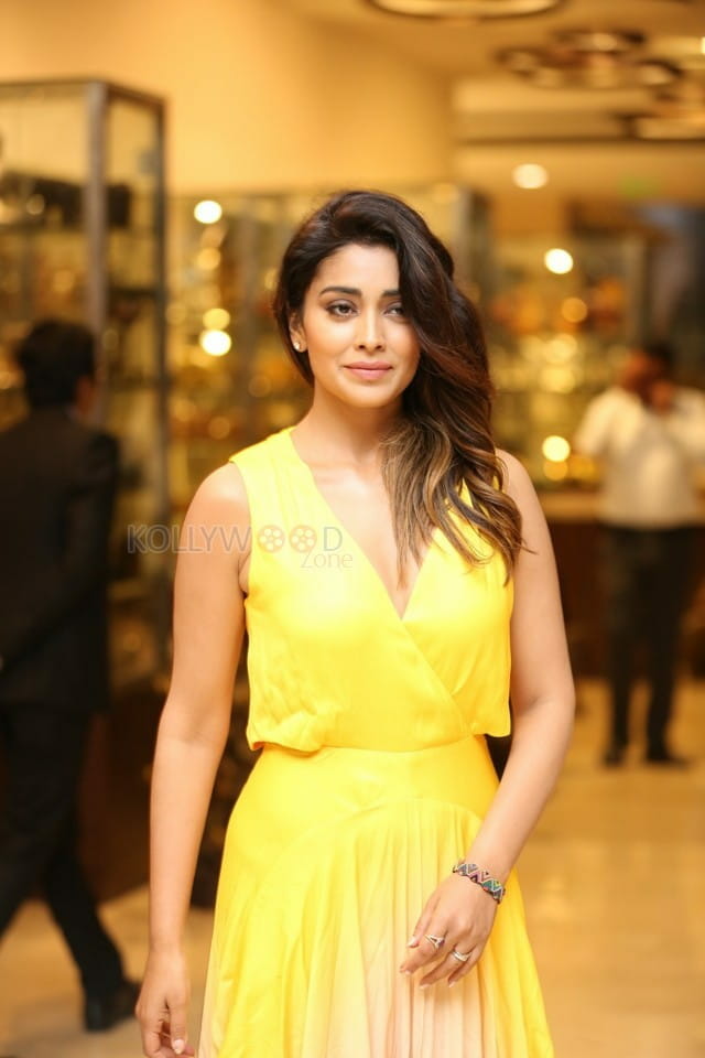 Actress Shriya Saran At Siima Awards Curtain Raiser Photos