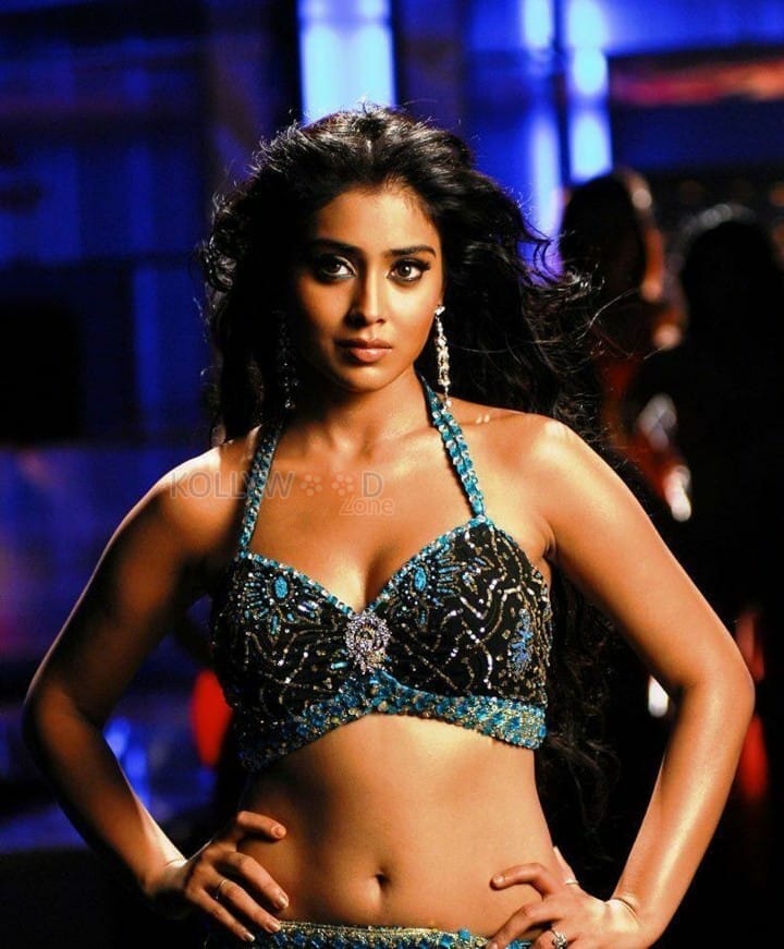 Actress Shriya Saran Glamorous Photos