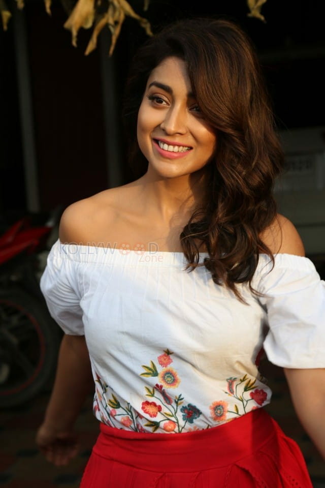 Actress Shriya Saran Interview Photos