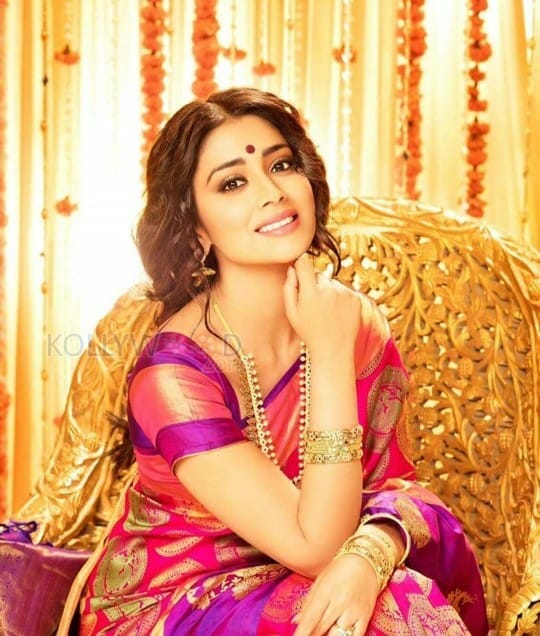 Shriya Saran In Ravishing Blue Saree | Zeenat