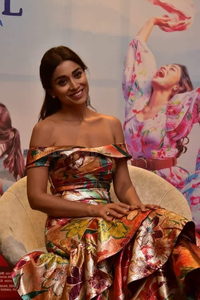 Actress Shriya Saran at Music School Interview Pictures 09