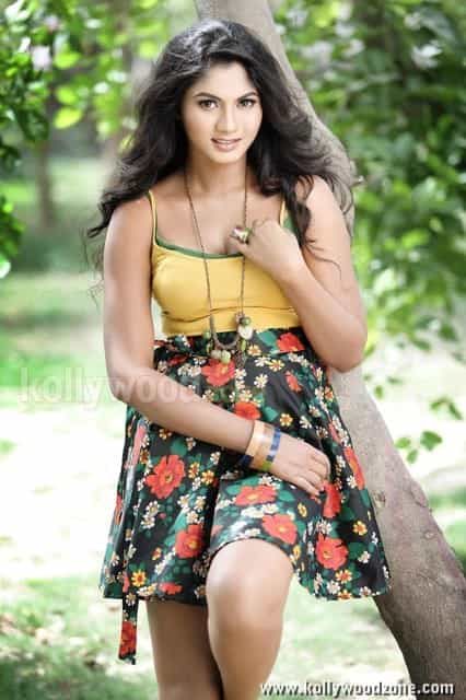 Actress Shruthi Reddy Sexy Photos