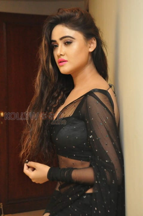 Actress Sony Charishta Hot And Sexy Black Saree Photos