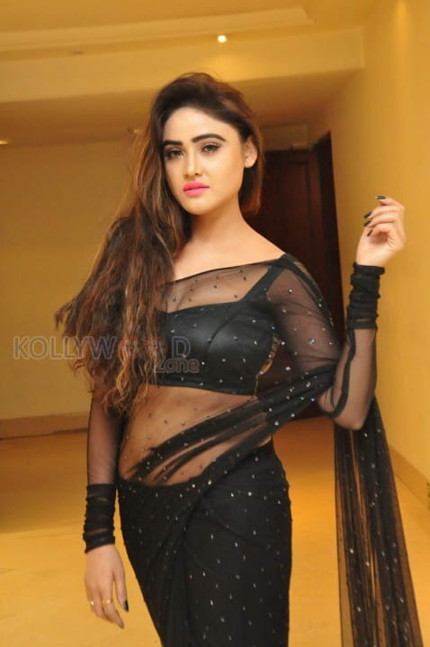 Actress Sony Charishta Hot And Sexy Black Saree Photos