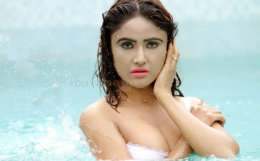 Actress Sony Charishta Wet Hot Photos