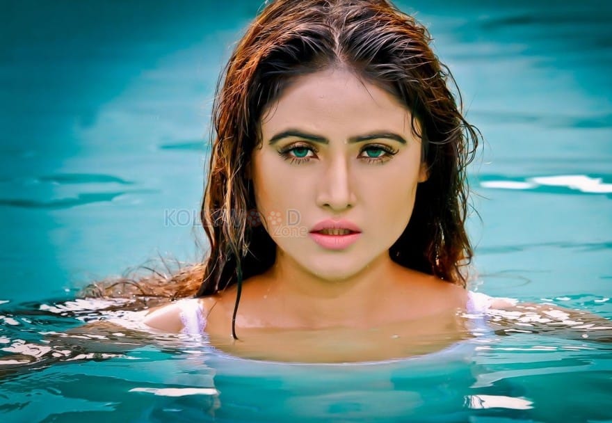 Actress Sony Charishta Wet Hot Photos