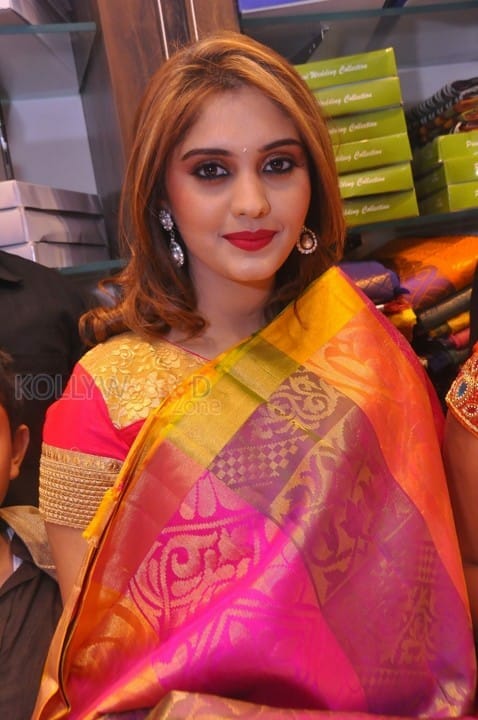 Actress Surabhi In Saree Pictures