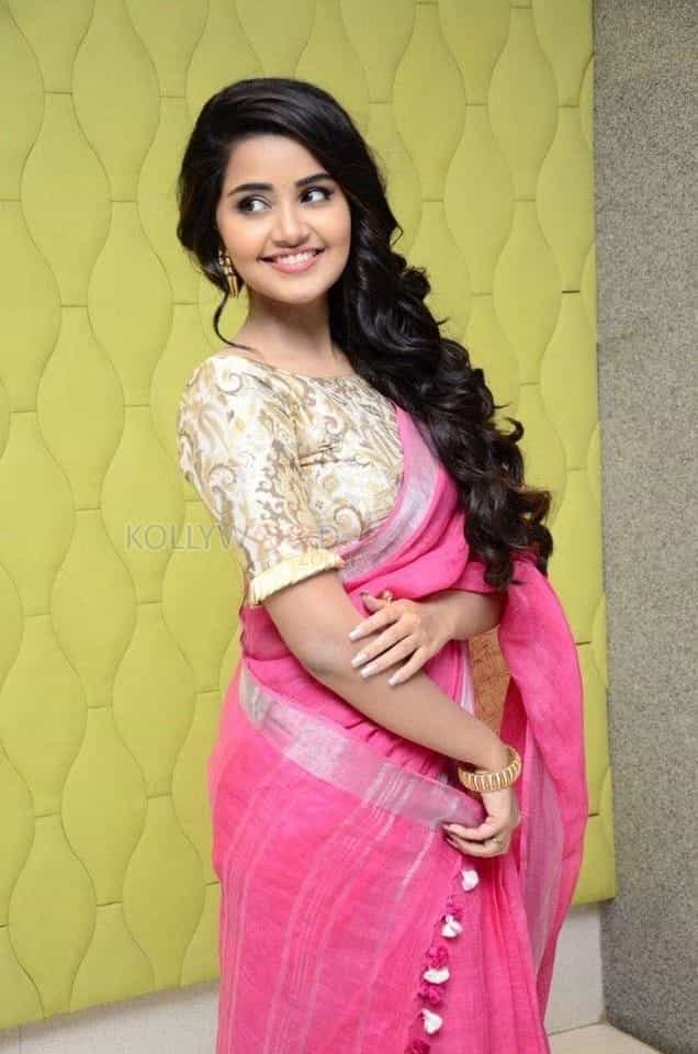 Anupama Parameshwaran Pink Saree Photos