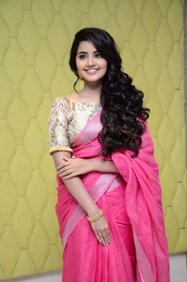 Anupama Parameshwaran Pink Saree Photos