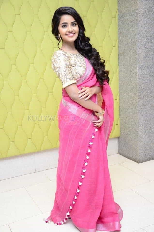 Anupama Parameshwaran Pink Saree Photos