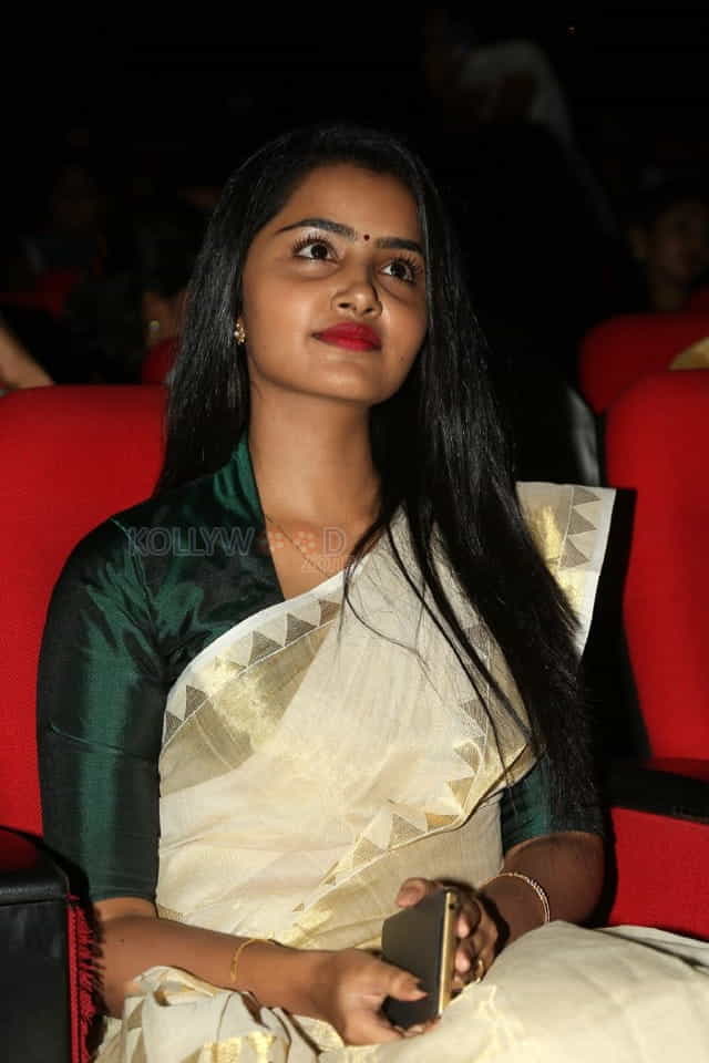 Anupama Parameswaran At Trivikram Aaa Audio Release Function Pictures