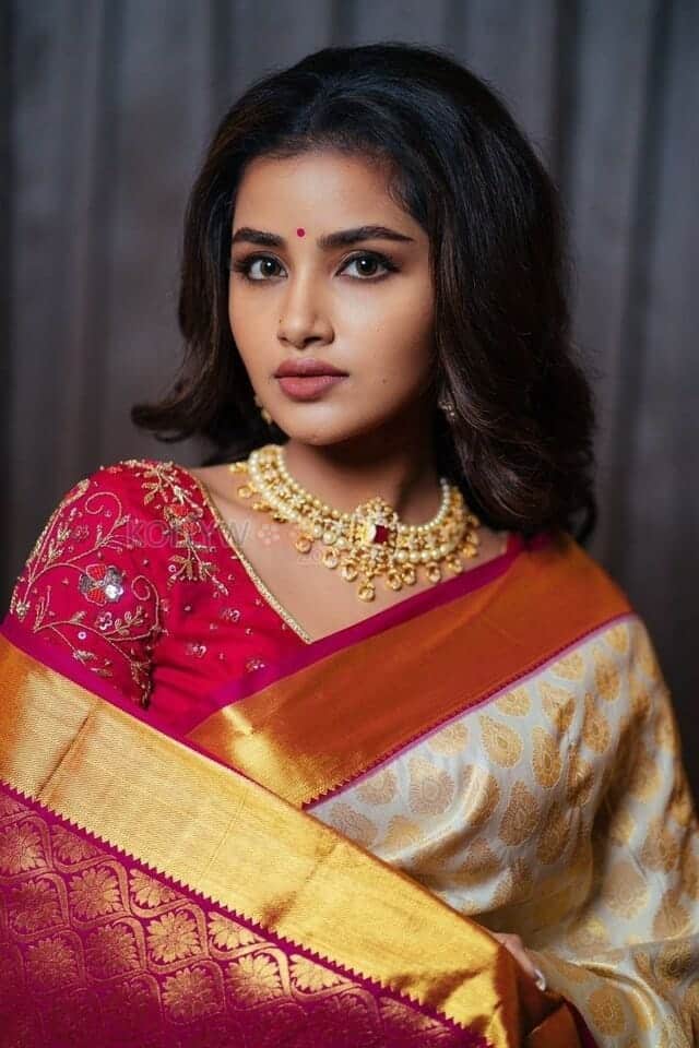 Attractive Anupama Parameswaran in Silk Saree Photo 01