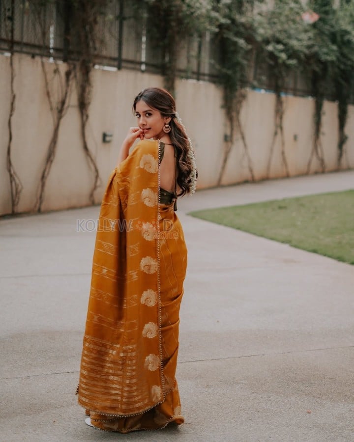 Attractive Nabha Natesh in a Mustard Yellow Saree Photoshoot Pictures 05