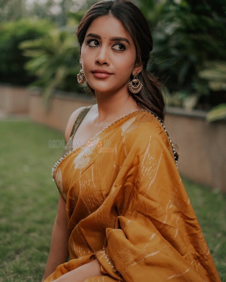 Attractive Nabha Natesh in a Mustard Yellow Saree Photoshoot Pictures 07