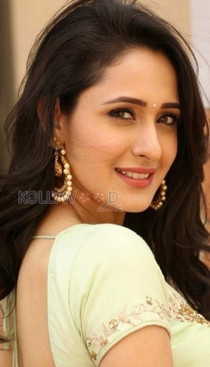 Beautiful Actress Pragya Jaiswal New Photos