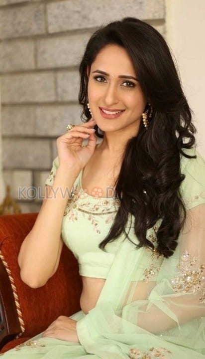 Beautiful Actress Pragya Jaiswal New Photos