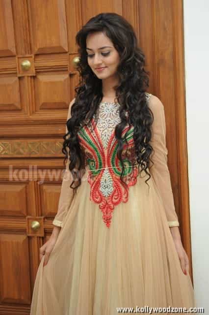 Beautiful Actress Shanvi Pictures