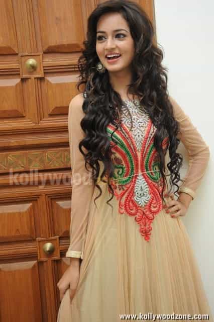 Beautiful Actress Shanvi Pictures