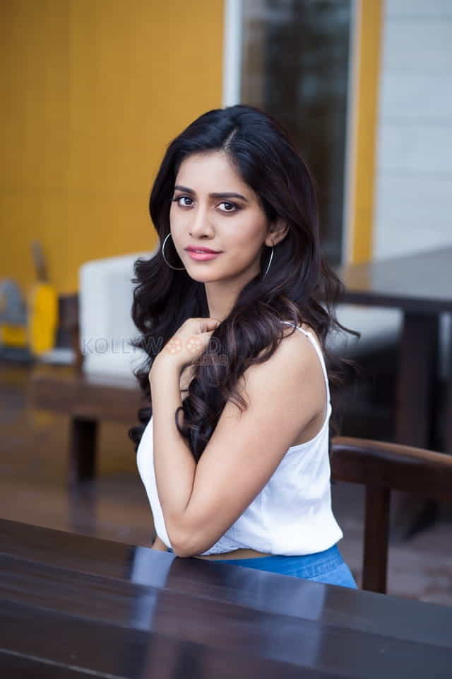 Beautiful Heroine Nabha Natesh Pictures