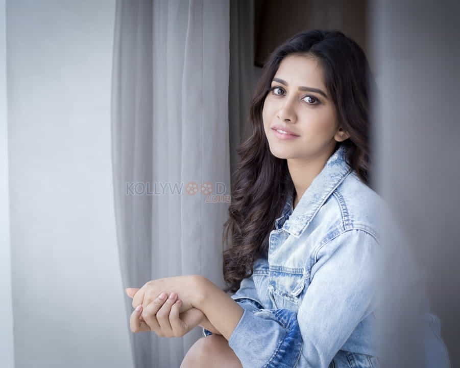 Beautiful Heroine Nabha Natesh Pictures