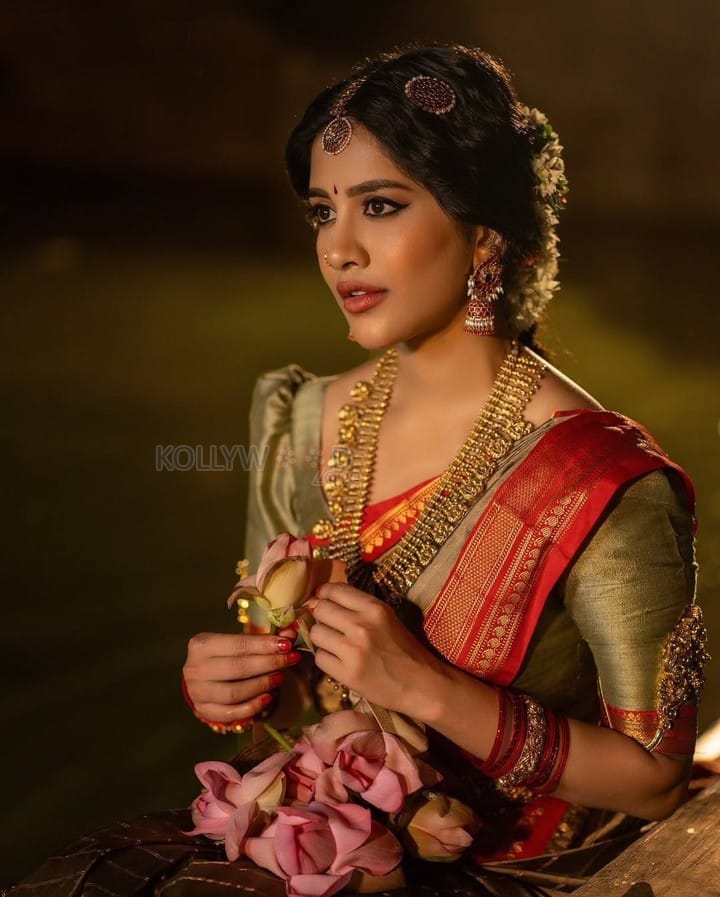 Beautiful Nabha Natesh Ethnic Saree Photoshoot Pictures 02
