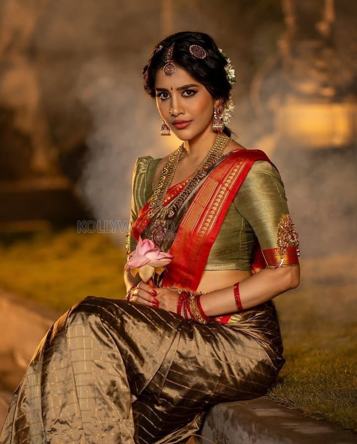 Beautiful Nabha Natesh Ethnic Saree Photoshoot Pictures 03