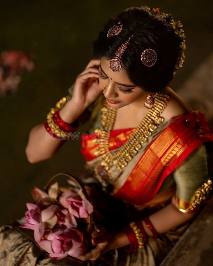 Beautiful Nabha Natesh Ethnic Saree Photoshoot Pictures 04